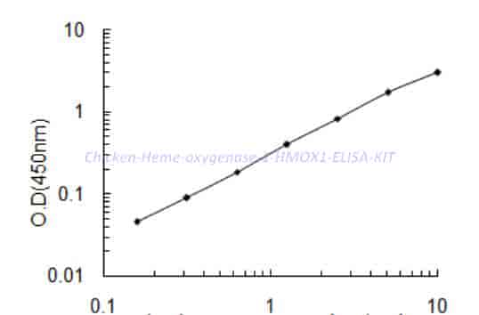 Chicken Heme oxygenase 1,HMOX1 ELISA KIT