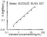 Human Mitochondrial glutamate carrier 1,SLC25A22 ELISA KIT