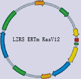 LZRS ERTm RasV12