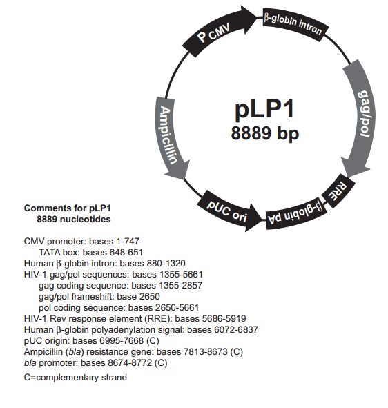 pLP1 - Click Image to Close