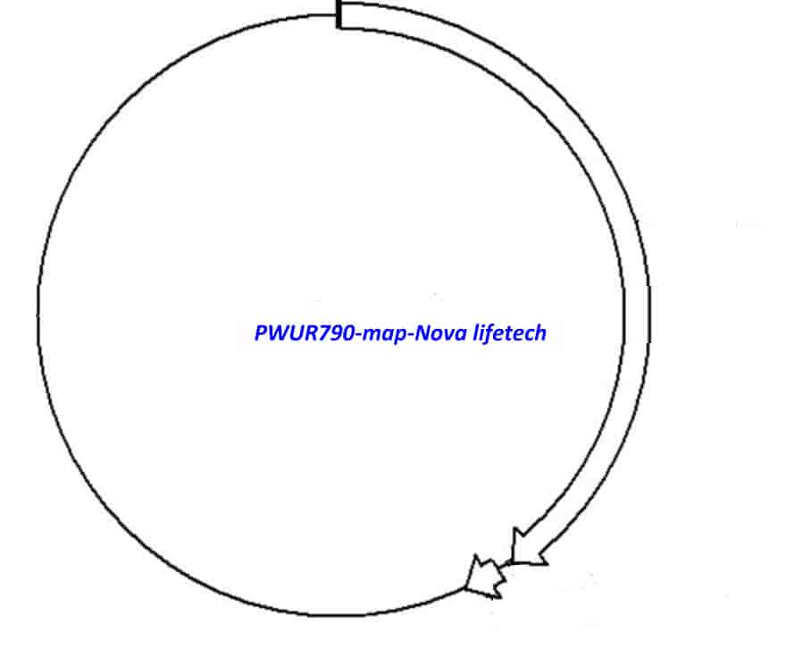 PWUR790 vector - Click Image to Close