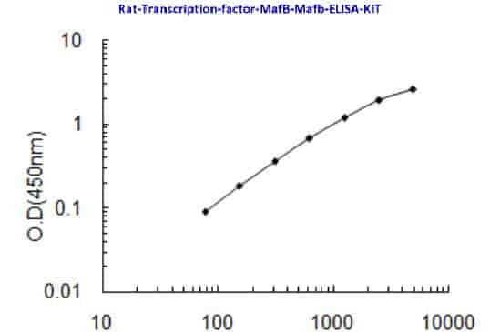 Rat Transcription factor MafB, Mafb ELISA KIT - Click Image to Close