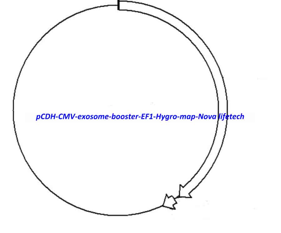 pCDH-CMV-exosome booster-EF1-Hygro - Click Image to Close
