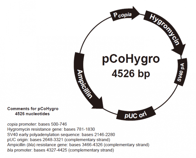 pCoHygro - Click Image to Close