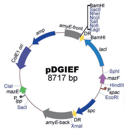 pDGIEF - Click Image to Close