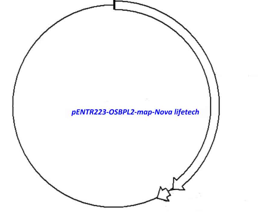 pENTR223-OSBPL2 - Click Image to Close