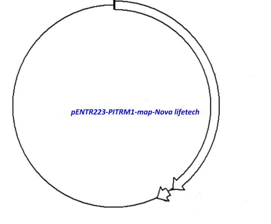 pENTR223-PITRM1 vector