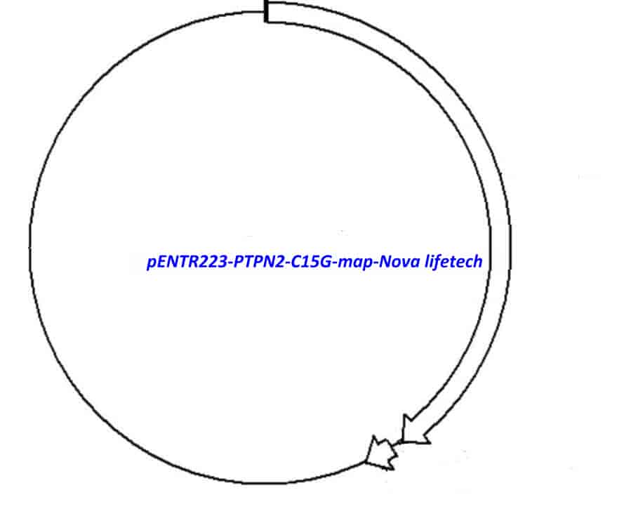 pENTR223-PTPN2-C15G vector - Click Image to Close