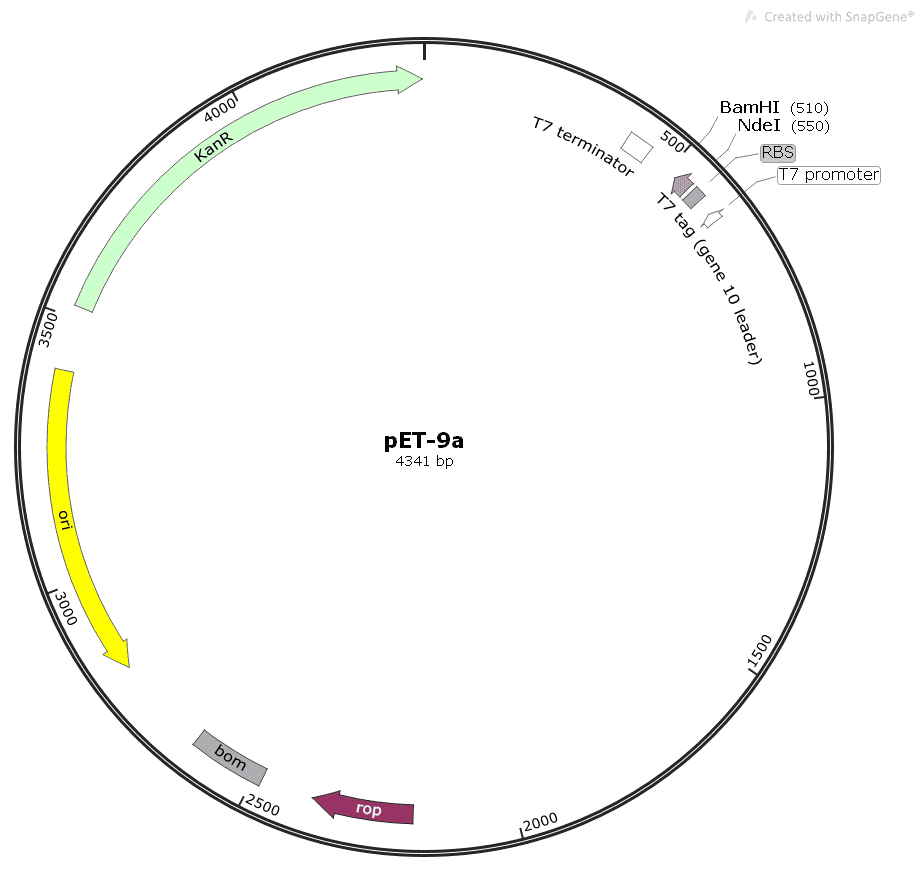 pET- 9a - Click Image to Close