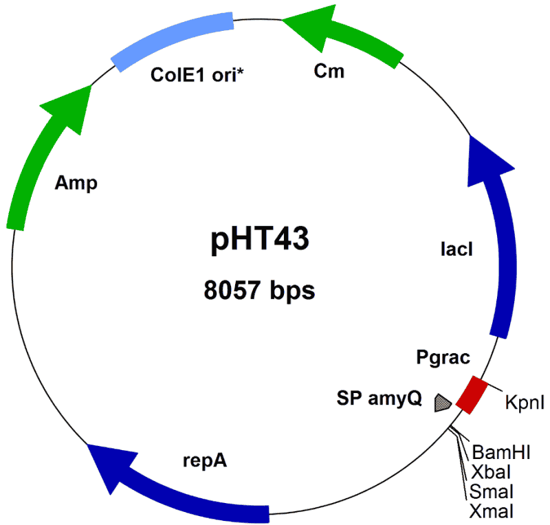 pHT43