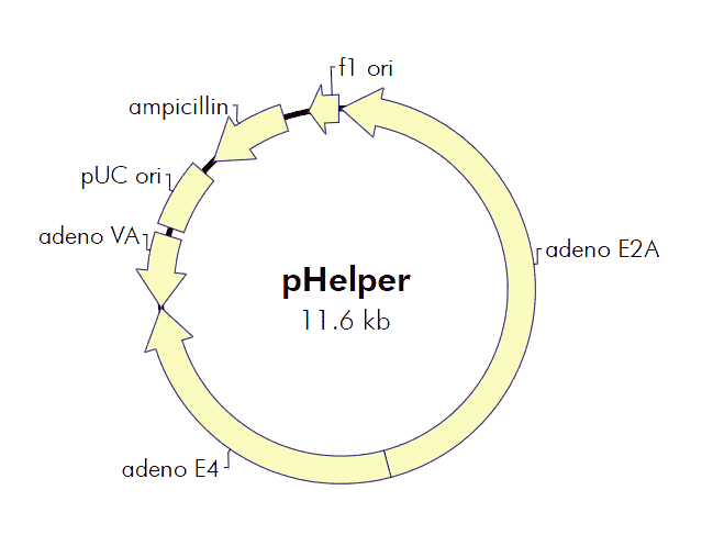 pHelper