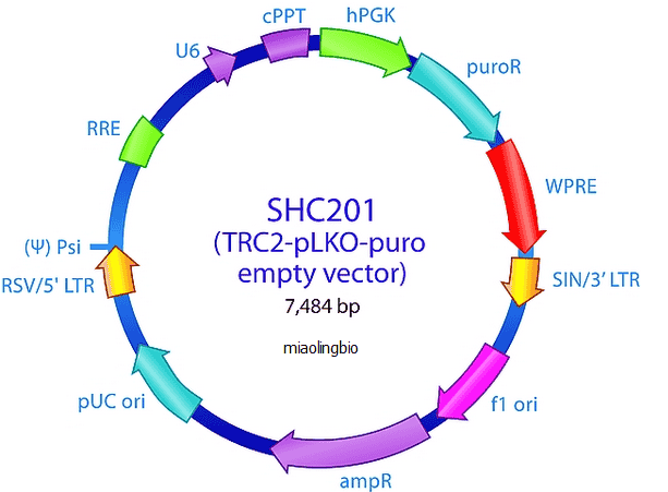 pLKO.5- TRC2- Puro
