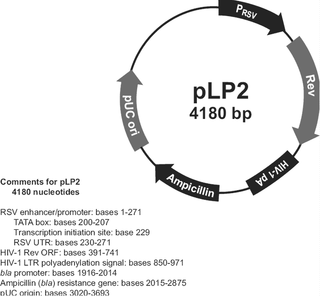 pLP2 - Click Image to Close