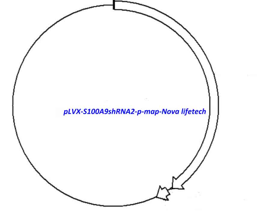 pLVX- S100A9shRNA2- p - Click Image to Close