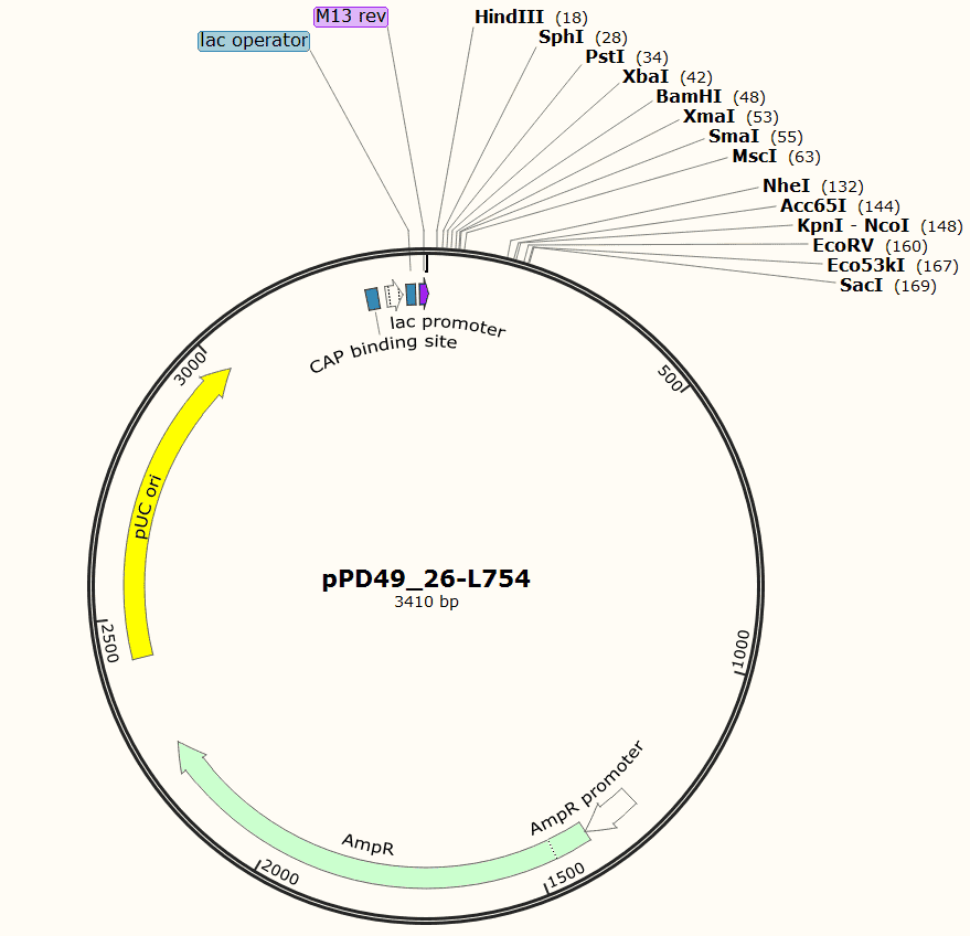 pPD49_ 26- L754 Plasmid - Click Image to Close