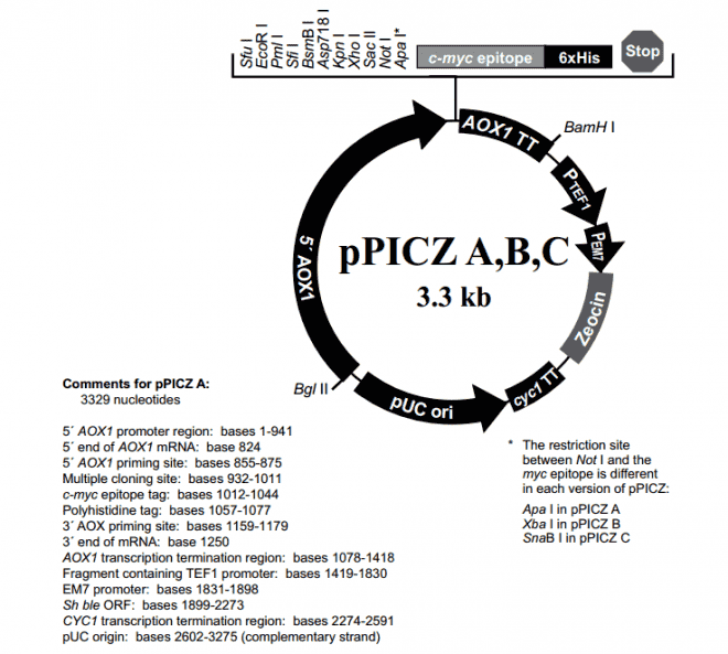 pPICZ C - Click Image to Close