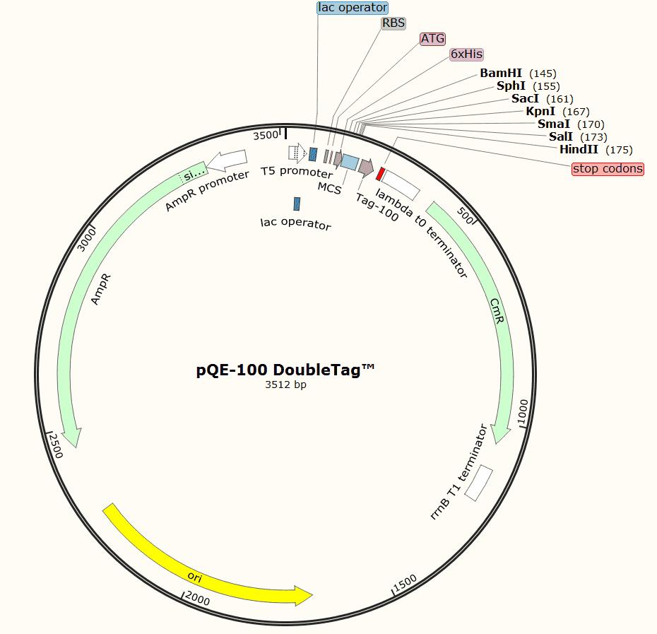 pQE- 100 DoubleTaq Plasmid