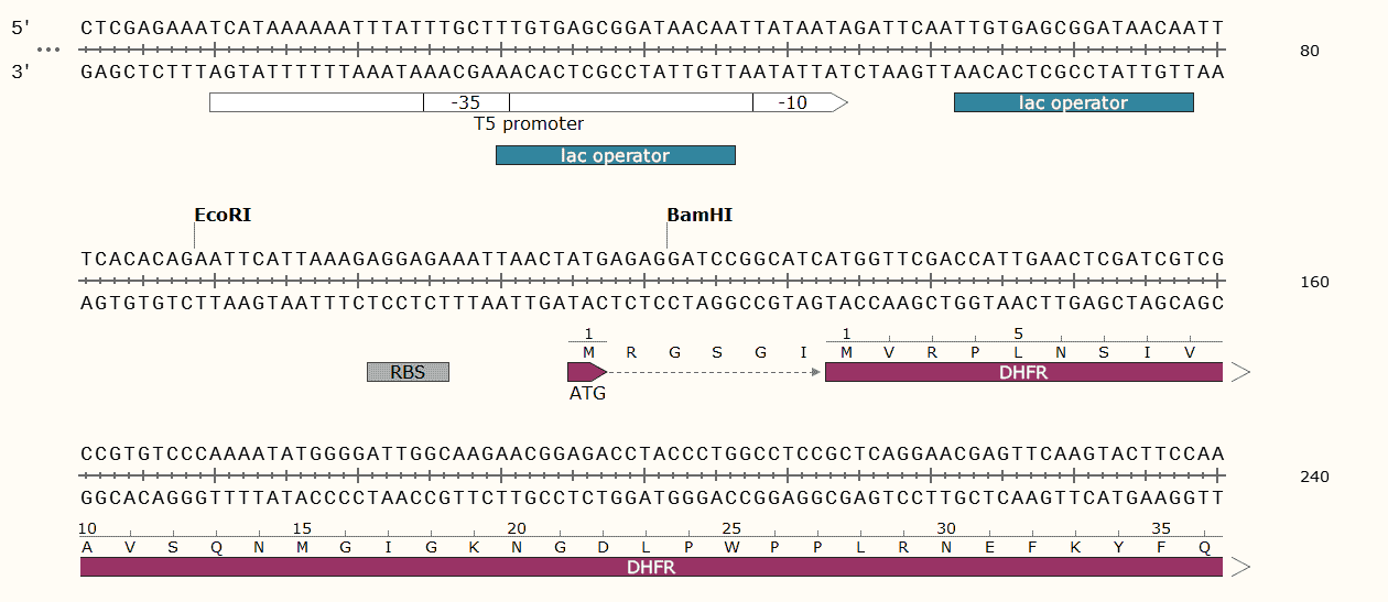 pQE- 22 Plasmid - Click Image to Close