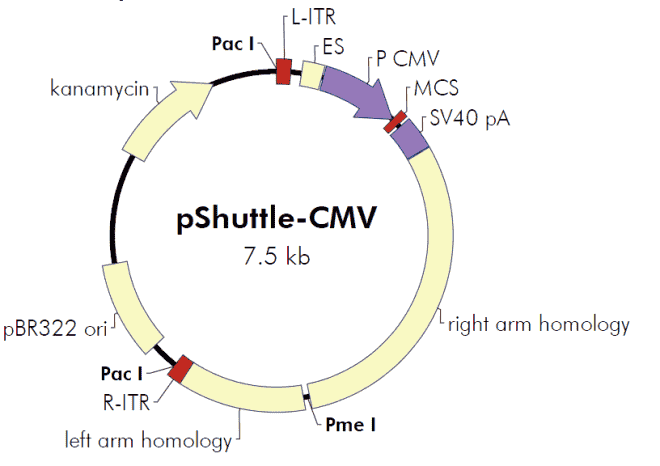 pShuttle - Click Image to Close