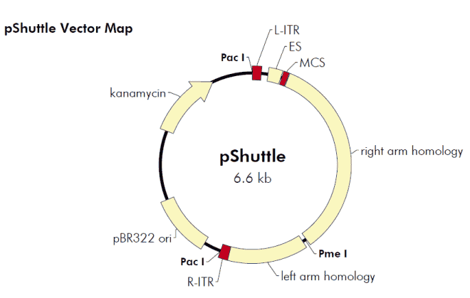 pShuttle - Click Image to Close