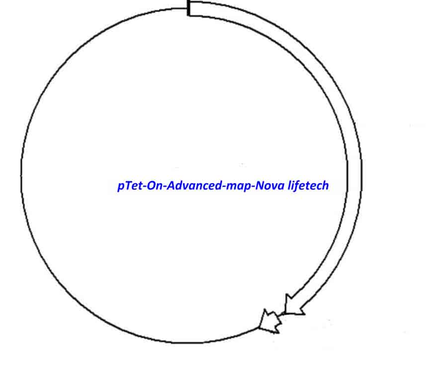 pTet- On- Advanced - Click Image to Close