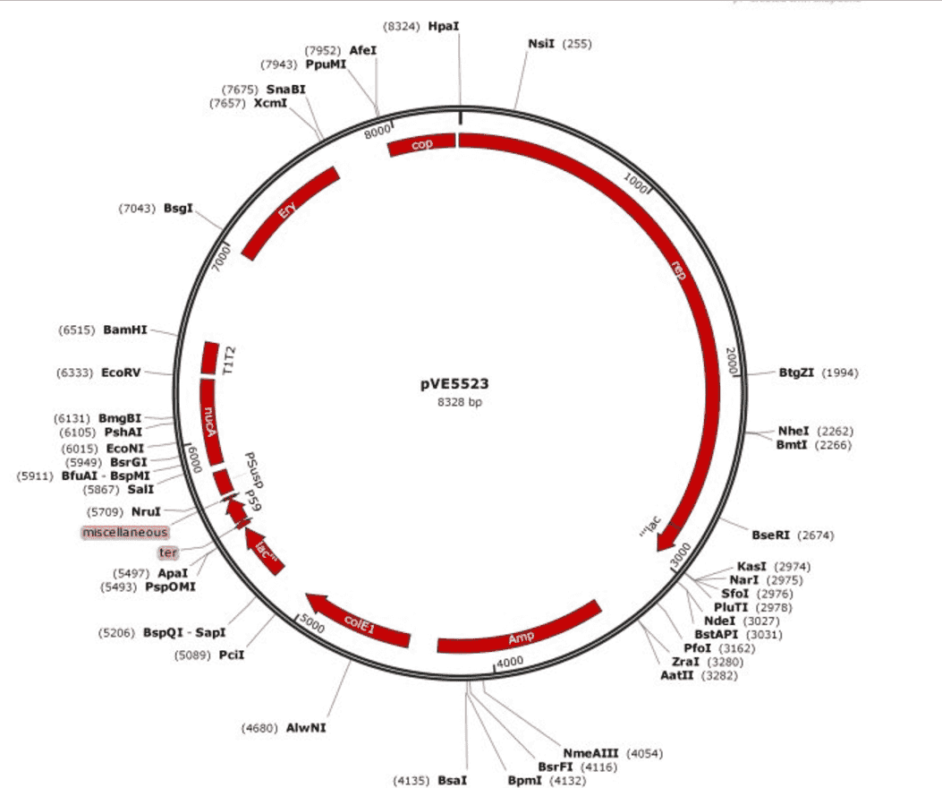 pVE5523 Plasmid - Click Image to Close