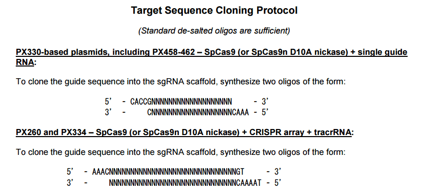 pX459 V2.0 Plasmid - Click Image to Close