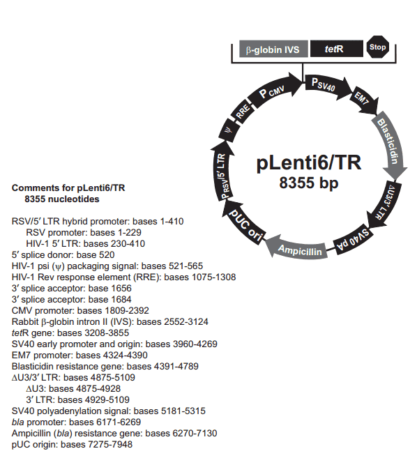 pLenti6/TR - Click Image to Close