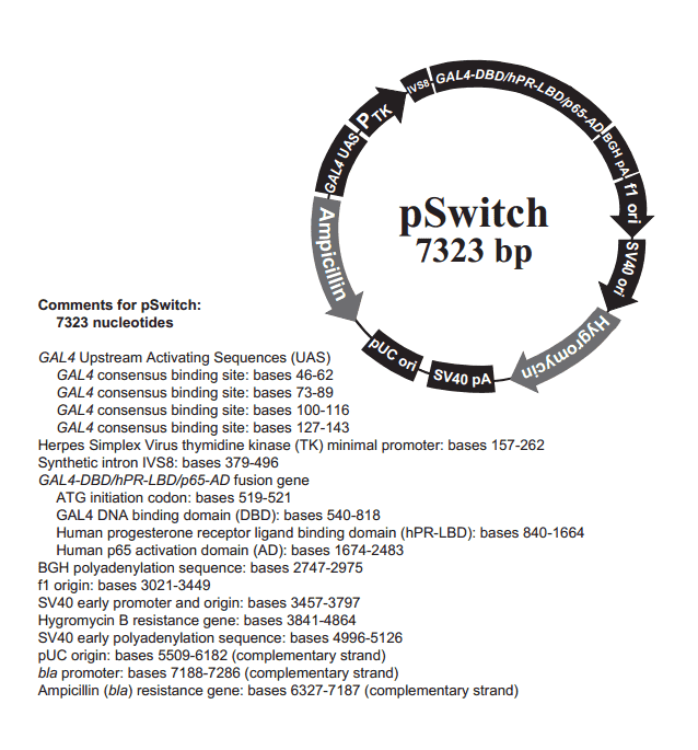 pSwitch - Click Image to Close